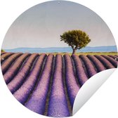Tuincirkel Frankrijk - Lavendel - Boom - 120x120 cm - Ronde Tuinposter - Buiten XXL / Groot formaat!