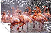 Tuinposter - Tuindoek - Tuinposters buiten - Flamingo - Sneeuw - Water - 120x80 cm - Tuin