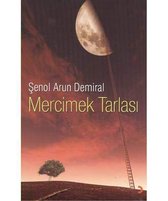 Mercimek Tarlası