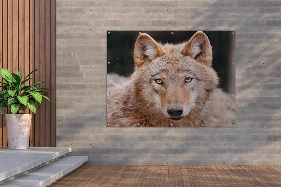 Décoration murale extérieur Loup - Predator - Marron - 160x120 cm