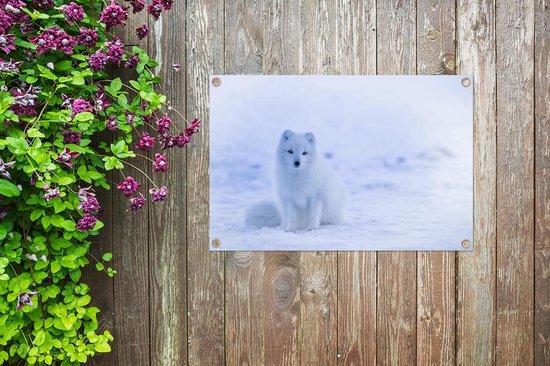 Tuinposter 90x60 cm - Tuindecoratie Vos - Sneeuw - Sneeuwspoor - Poster voor in de tuin - Buiten decoratie - Schutting tuinschilderij - Tuindoek muurdecoratie - Wanddecoratie balkondoek