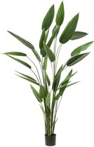 Heliconia kunstplant L