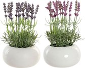 Decoratieve plant DKD Home Decor Lavendel Roze Polyethyleen Dolomite Lila (17 x 17 x 27 cm) (2 pcs)