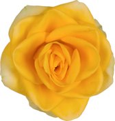 Bloem van Botanicly – Rosa Palace – Hoogte: 45 cm