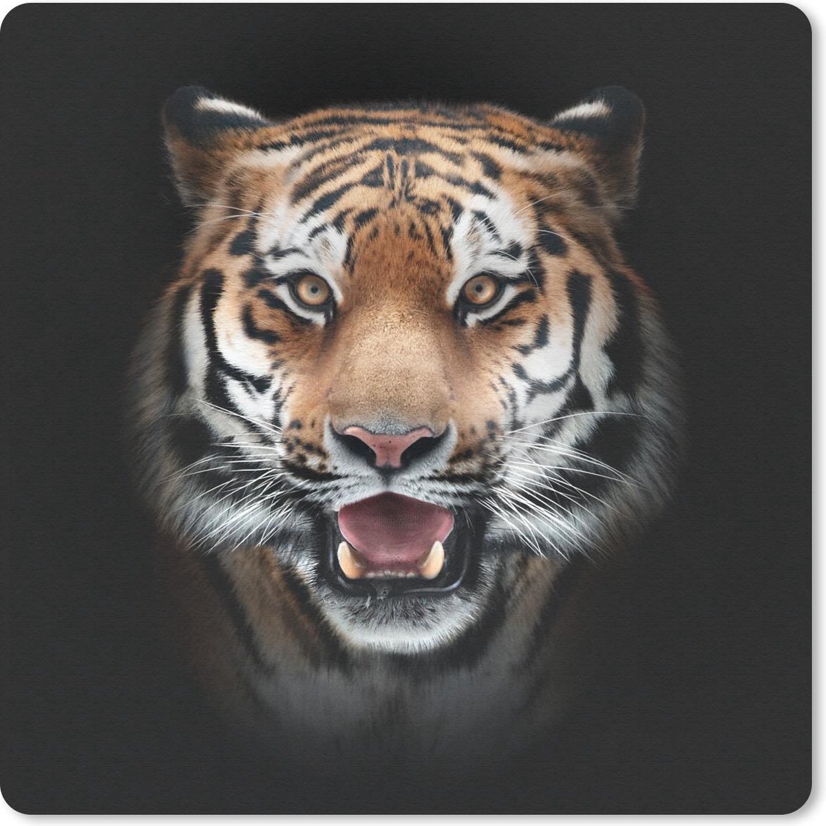 Muismat 20x20 cm - Mousepad Tijger - Portret - Dier - Muismatten