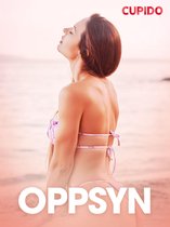 Cupido - Oppsyn – erotisk novelle
