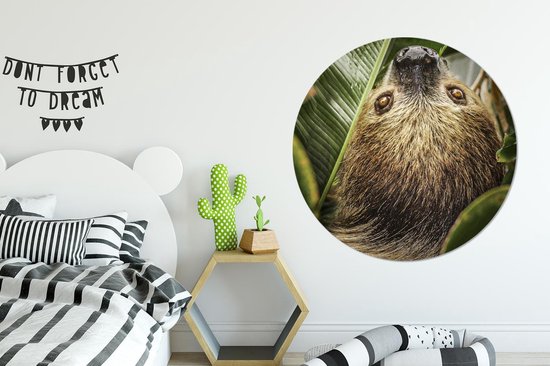 WallCircle - Wall Circle - Wall Circle Indoor - Paresseux - Feuilles - Animal - 120x120 cm - Décoration murale - Peintures Ronds XXL