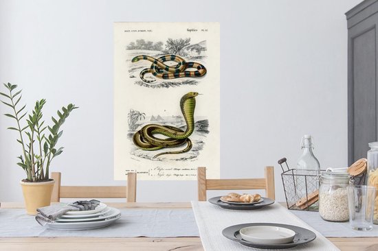 Stickers muraux - Film autocollant - Serpent - Vintage - Reptiles - 60x90 cm - Film adhésif - Stickers muraux Chambre d'enfant - Papier peint autocollant