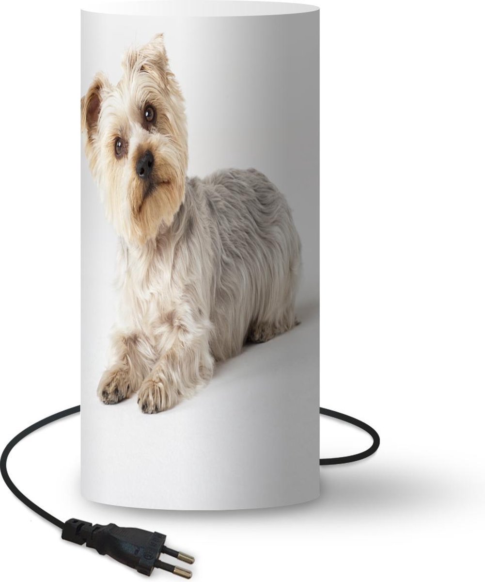 Lamp - Nachtlampje - Tafellamp slaapkamer - Yorkshire Terrier kijkt in de camera - 33 cm hoog - Ø15.9 cm - Inclusief LED lamp