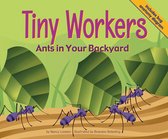 Backyard Bugs - Tiny Workers