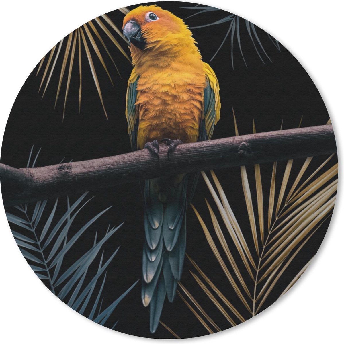 Muismat rond 50x50 cm - Mousepad Vogel - Papegaai - Tak - Bladeren - Ronde muismatten