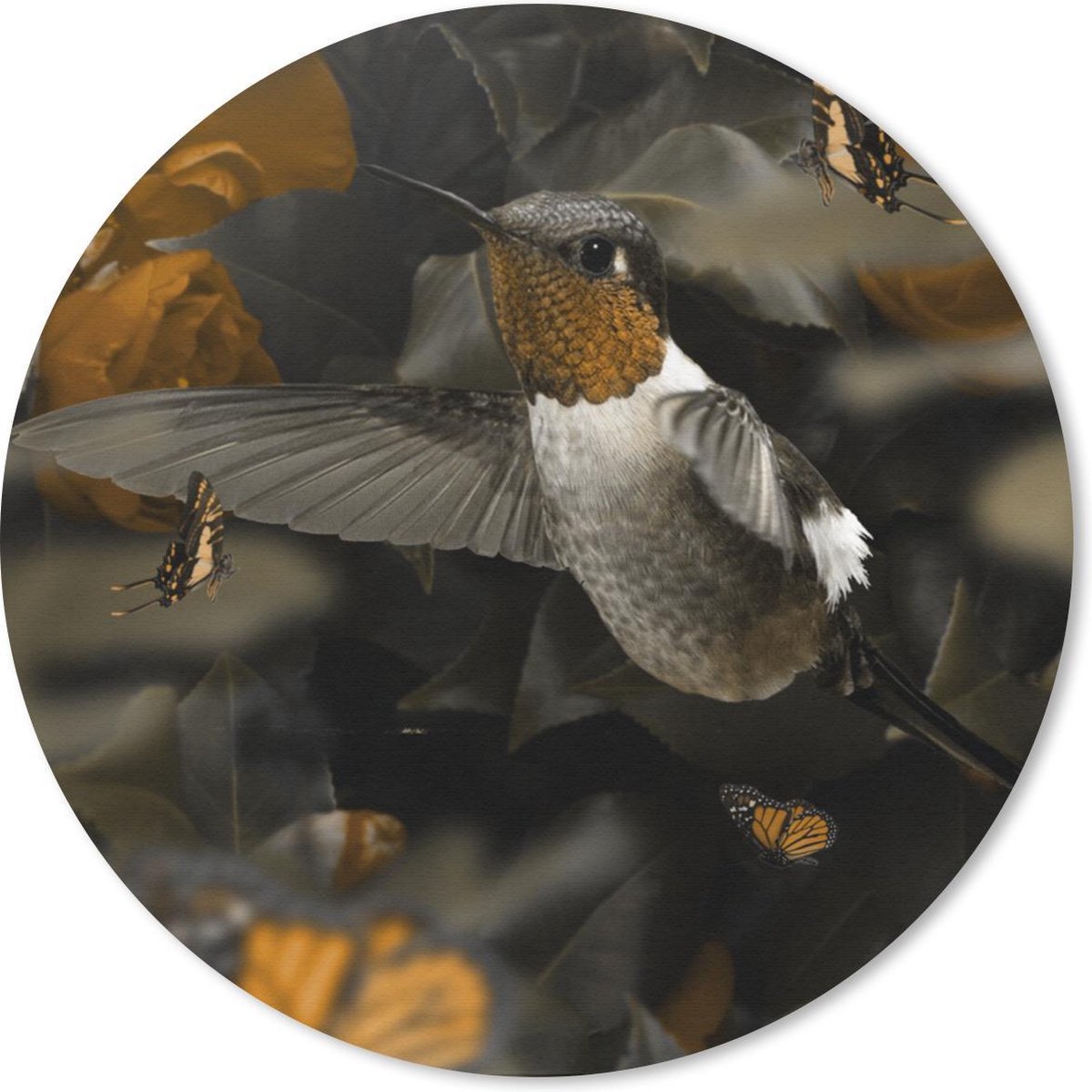 Muismat rond 50x50 cm - Mousepad Kolibrie - Bos - Vlinders - Ronde muismatten
