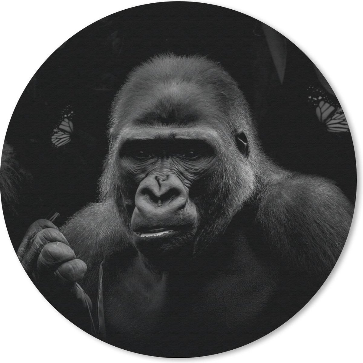 Muismat rond 40x40 cm - Mousepad Vlinders - Aap - Jungle - Zwart - Wit - Ronde muismatten