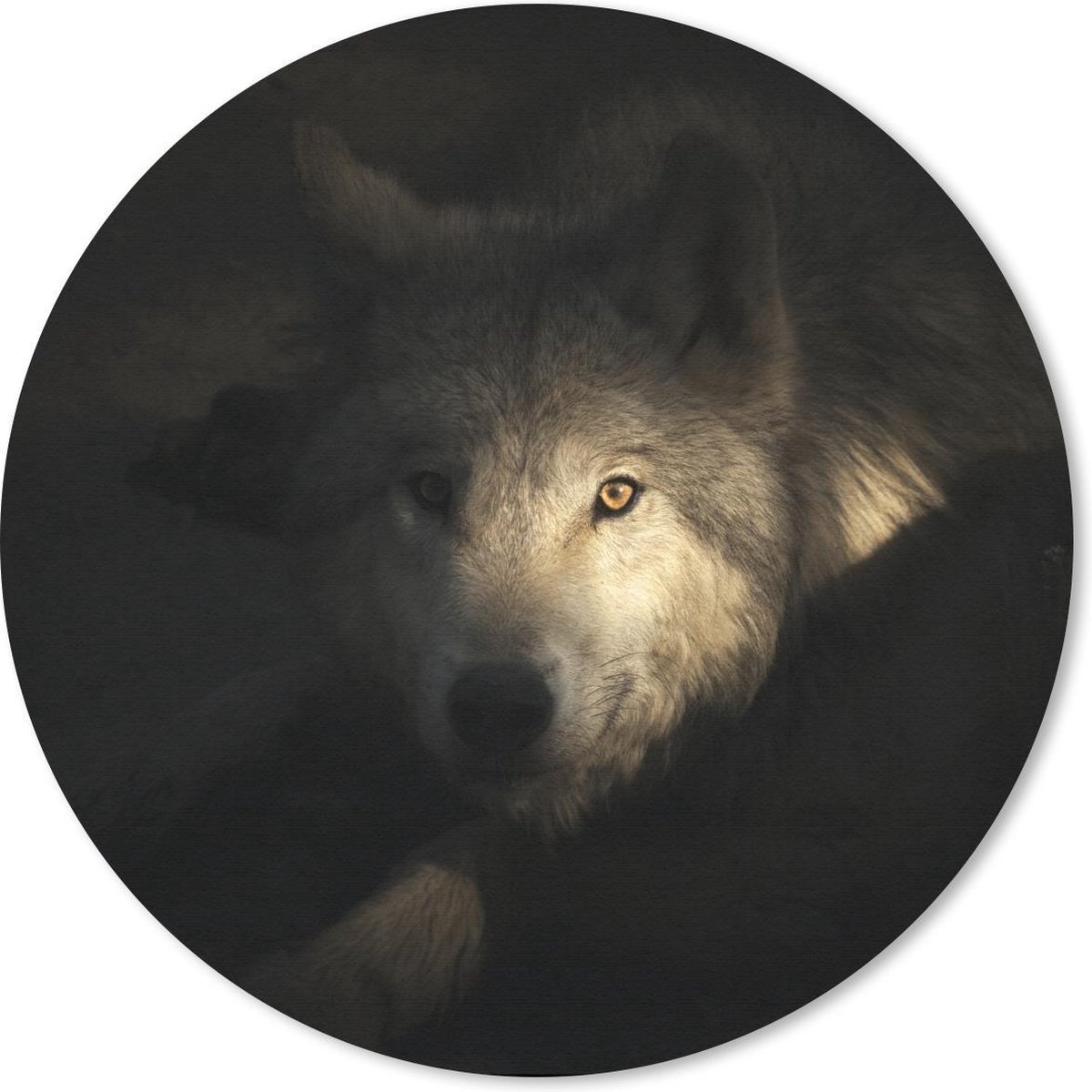 Muismat rond 50x50 cm - Mousepad Portret van een arctische wolf - Ronde muismatten