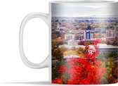 Mok - De kleurrijke skyline van de stad Boise in de Verenigde Staten - 350 ml - Beker