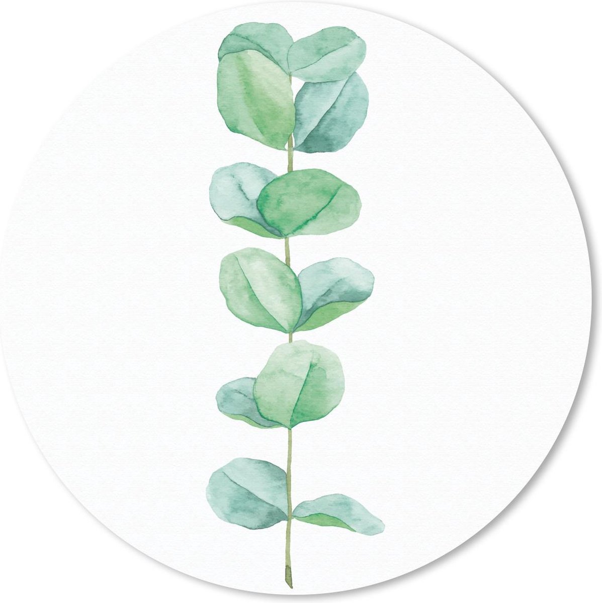 Muismat rond 50x50 cm - Mousepad Waterverf - Eucalyptus - Plant - Ronde muismatten