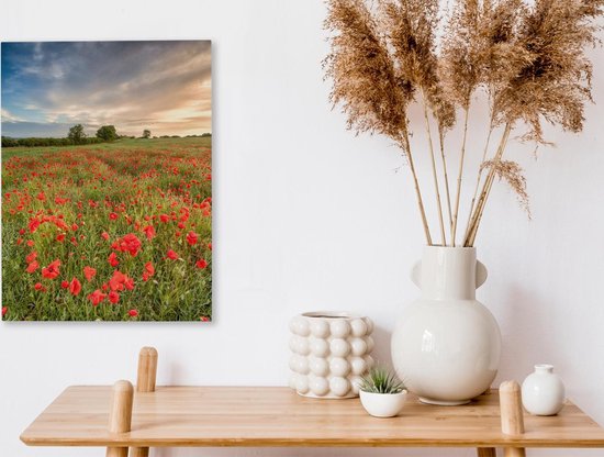 Peintures sur toile Coquelicots - Nuages - Herbe - 30x40 cm - Décoration murale