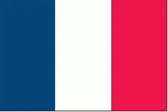 Franse vlag 50x75cm - spunpoly