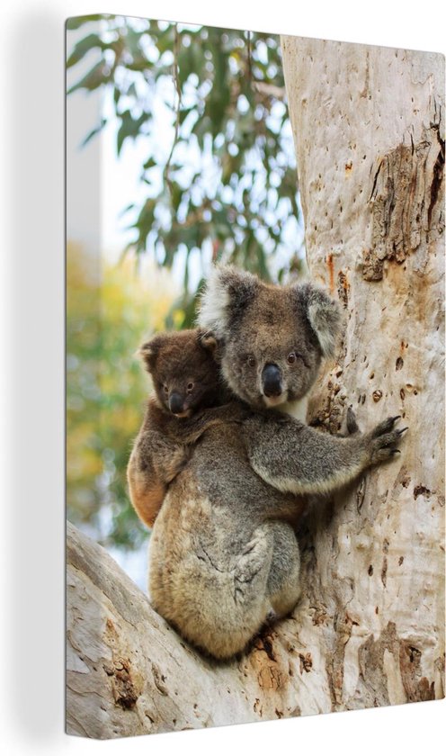 Canvas schilderij 120x180 cm - Wanddecoratie Koala - Baby - Eucalyptus - Muurdecoratie woonkamer - Slaapkamer decoratie - Kamer accessoires - Schilderijen