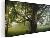 Artaza Canvas Schilderij Grote Levensboom Met Veel Takken - 100x50 - Groot - Foto Op Canvas - Canvas Print