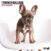 Franse Bulldog - Kalender 2022