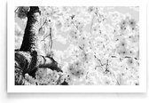 Walljar - Kersenbloesem Closeup - Zwart wit poster