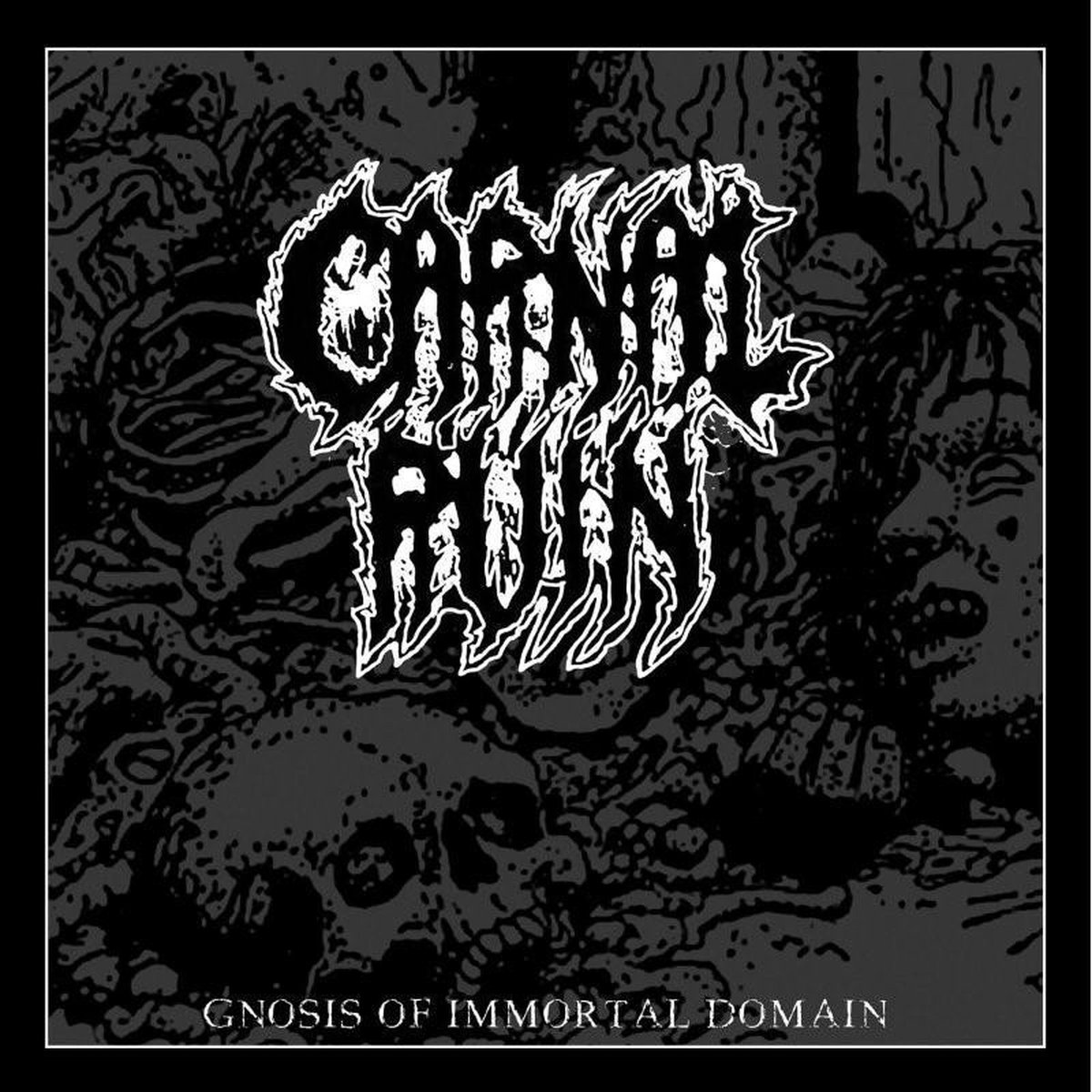 Carnal Ruin - Gnosis Of Immortal Domain (CD)