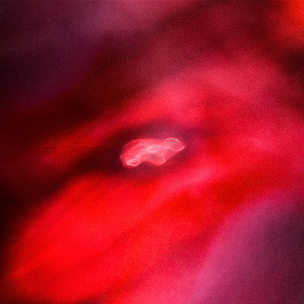Siavash Amini + Saffronkeira - The Faded Orbit (CD)