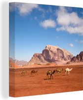 Canvas Schilderij Wadi Rum - Kameel - Woestijn - 20x20 cm - Wanddecoratie