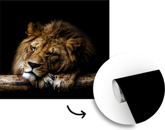Papier peint - Papier peint photo Lion - Arbre - Marron - Largeur 350 cm x hauteur 350 cm