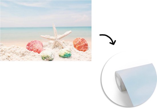 Murale - Papier peint photo Etoile de Mer - Coquillages - Mer - 600 cm x hauteur 400 cm