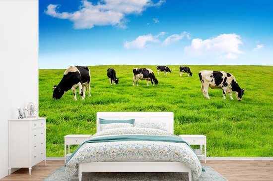 Papier peint - Papier peint photo Vache - Herbe - Ciel - Largeur 420 cm x hauteur 280 cm