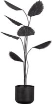 BePureHome Forever Plant - Metaal - Zwart - 141x50x49