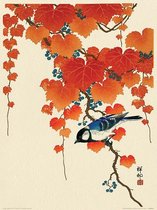 Poster - Ohara Koson Bird And Ivy - 40 X 30 Cm - Oranje