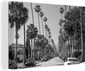 Canvas Schilderij Palmbomen langs de straten in Beverly Hills in Noord-Amerika - zwart wit - 90x60 cm - Wanddecoratie