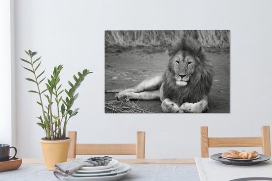 Tableau sur toile Lion couché en Afrique - noir et blanc - 60x40 cm - Décoration murale