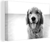 Canvas Schilderij Portret van een super mooie Golden Retriever - zwart wit - 30x20 cm - Wanddecoratie