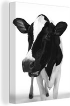 Canvas schilderij 120x160 cm - Wanddecoratie Studiofoto van een Friese koe - zwart wit - Muurdecoratie woonkamer - Slaapkamer decoratie - Kamer accessoires - Schilderijen