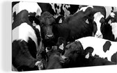 Canvas Schilderij Friese koeien dicht op elkaar - zwart wit - 80x40 cm - Wanddecoratie
