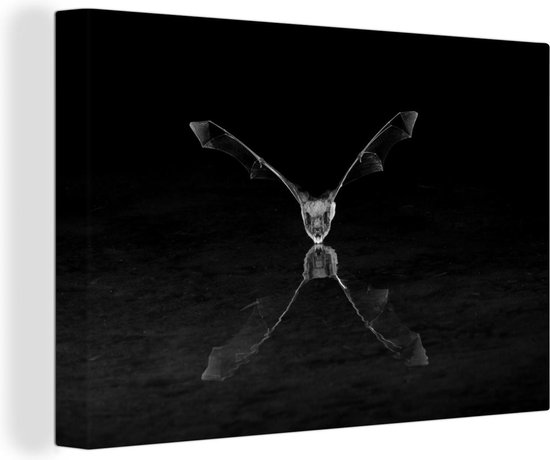 Canvas Schilderij Drinkende vleermuis - zwart wit - 120x80 cm - Wanddecoratie