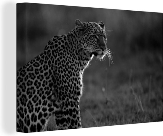 Tableau sur toile Panthère regardant la savanne - noir et blanc - 30x20 cm - Décoration murale Art