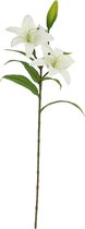 Gerimport Kunstbloem Vara Lilium 15,5 X 24 X 78 Cm Wit/groen