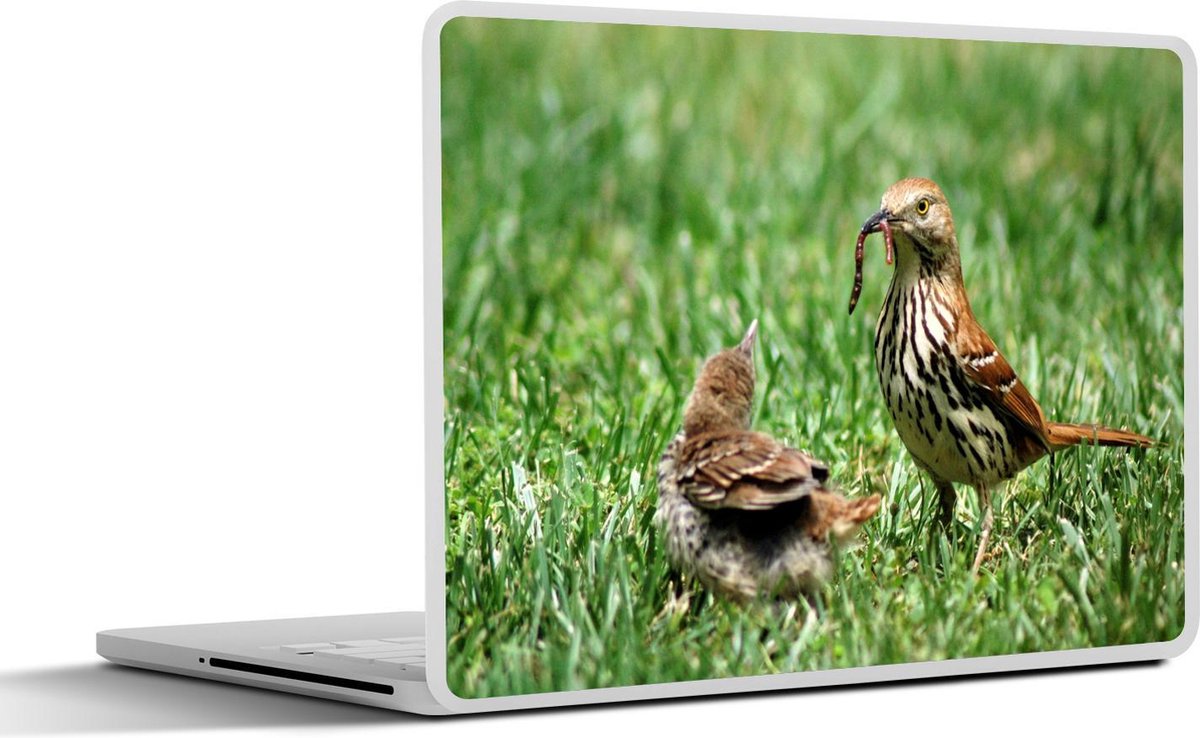 Afbeelding van product SleevesAndCases  Laptop sticker - 14 inch - Rosse spotlijster voedt haar jong
