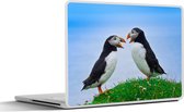 Laptop sticker - 11.6 inch - Dieren - Vogels - Papegaaiduikers - 30x21cm - Laptopstickers - Laptop skin - Cover