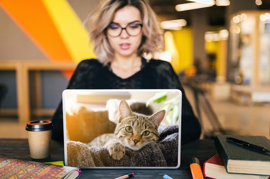 Laptop sticker - 14 inch - Kat - Mand - Kleed - 32x5x23x5cm - Laptopstickers - Laptop skin - Cover