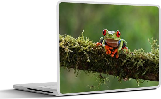 Sticker pour ordinateur portable - 10,1 pouces - Grenouille aux yeux rouges sur une branche couverte