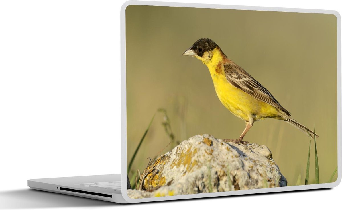 Afbeelding van product SleevesAndCases  Laptop sticker - 12.3 inch - Gele zwartkopgors