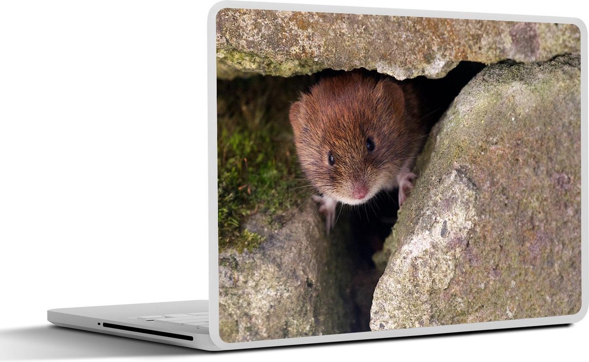 Afbeelding van product SleevesAndCases  Laptop sticker - 15.6 inch - Woelmuis tussen de stenen
