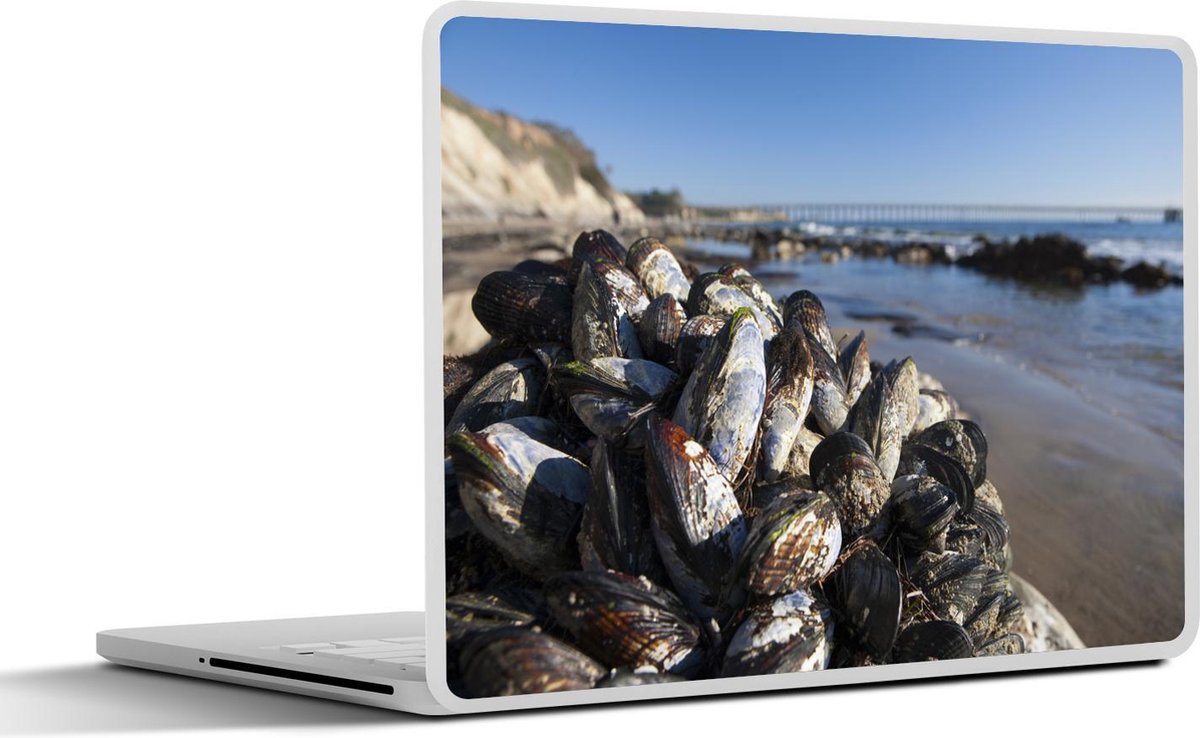 Laptop sticker - 11.6 inch - Mosselen op rotsen bij het strand