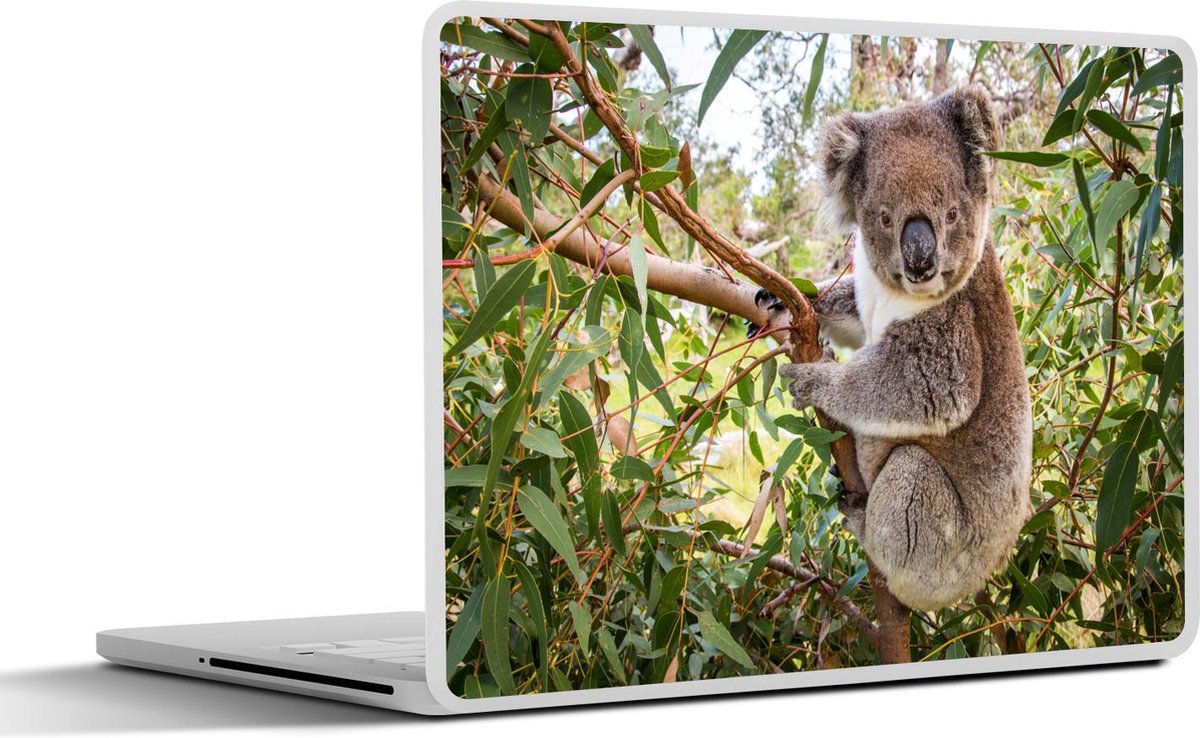 Laptop sticker - 13.3 inch - Koala - Bladeren - Takken - Kinderen - Jongens - Meiden - 31x22,5cm - Laptopstickers - Laptop skin - Cover